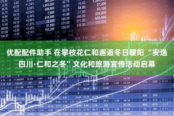 优配配件助手 在攀枝花仁和邂逅冬日暖阳 “安逸四川·仁和之冬”文化和旅游宣传活动启幕