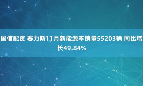 国信配资 赛力斯11月新能源车销量55203辆 同比增长49.84%