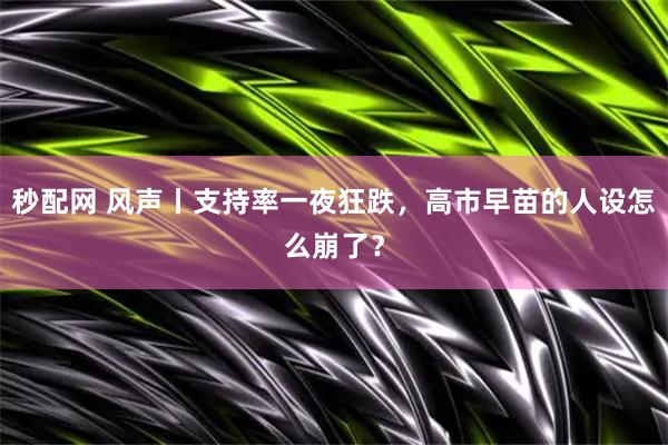 秒配网 风声丨支持率一夜狂跌，高市早苗的人设怎么崩了？